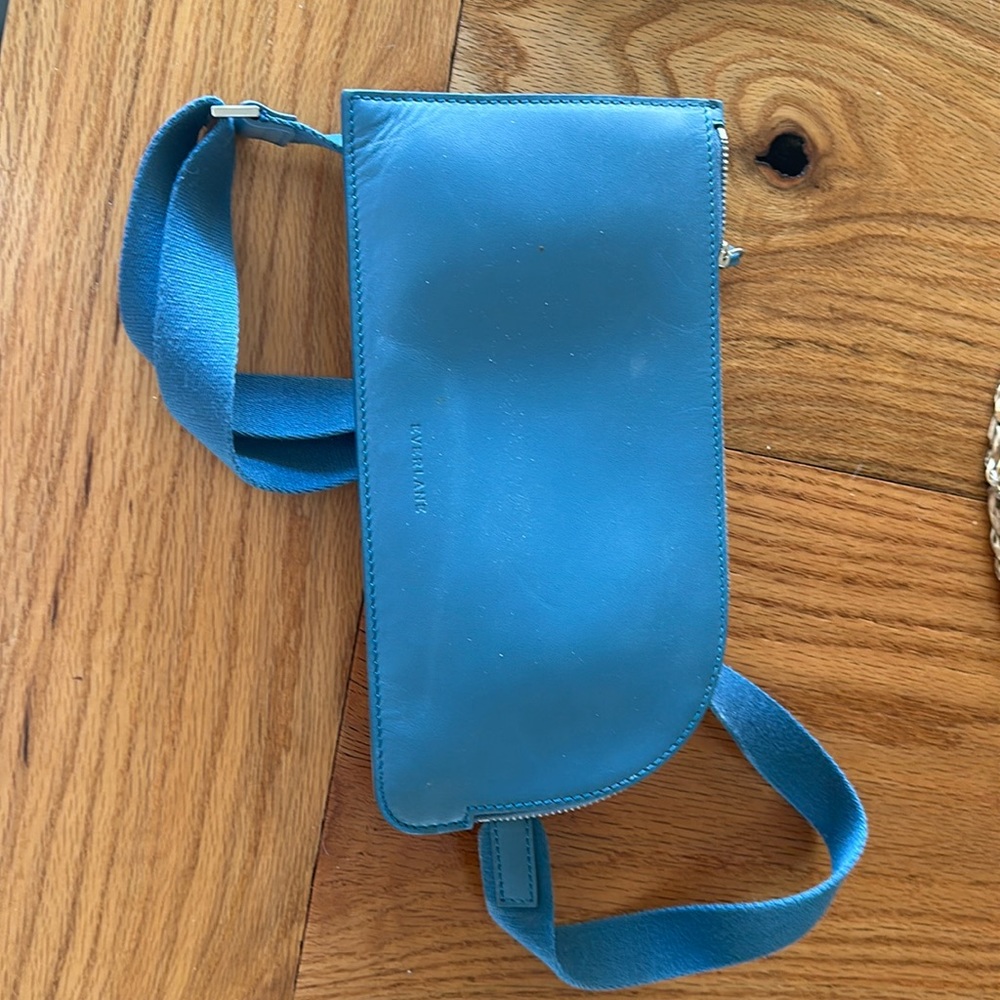 Everlane cactus leather sling bag